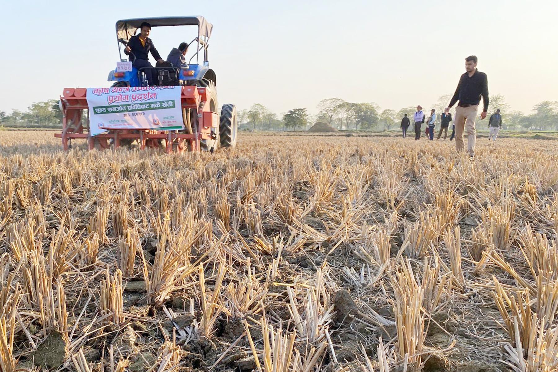 झापाका तीन स्थानमा शून्य खनजोत प्रविधिबाट मकैखेती