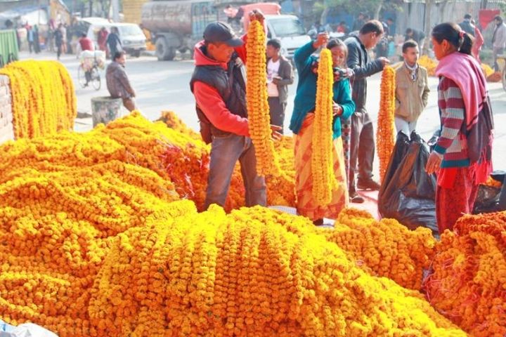 तिहारमा स्वदेशी फूलले पायो बजार