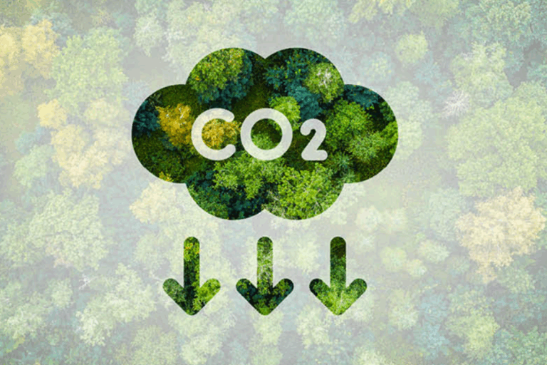 कार्बन साझेदारी कोषबाट मुलुकलाई एक अर्ब १९ करोड प्राप्त