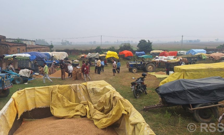 धान बेच्न किसान रातभर लाइनमा, सरकारी खरिद केन्द्रमा भीड