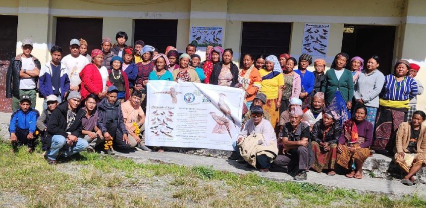 धवलागिरिमा दुर्लभ पन्छी चिरकालिज भेटिएपछि संरक्षण अभियान