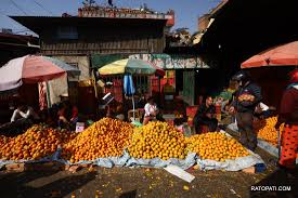 मुग्लिनमा आजदेखि सुन्तला महोत्सव