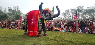 चितवनको पर्याय बन्दै ‘हात्ती तथा पर्यटन महोत्सव’