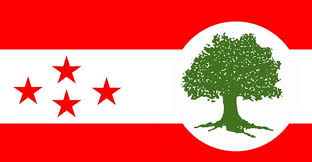 कांग्रेसद्वारा पार्टीका उम्मेदवारविरुद्ध उम्मेदवारी दिनेलाई पाँच दिनको स्पष्टीकरण