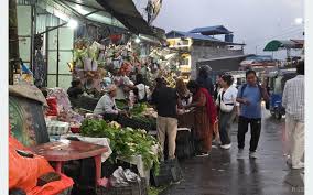 गर्मी छल्न भेडेटार आउने पर्यटकको कोसेली ‘अर्ग्यानिक तरकारी’