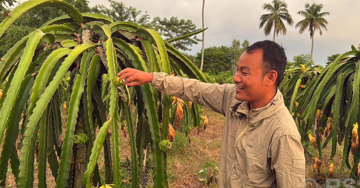 ड्रागन फ्रुटले बदलेको इङनामको परिचय