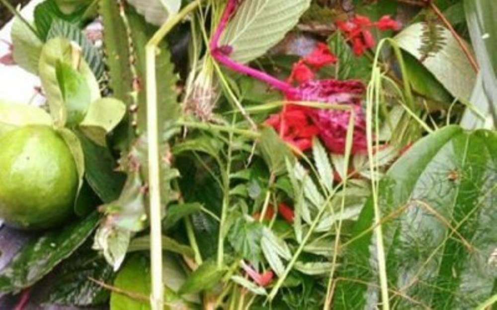 आज साउने सङ्क्रान्ति पर्व