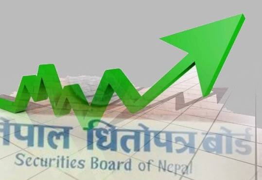 नेप्से ०.५५ अंक बढेर २६४२ अंकमा कायम