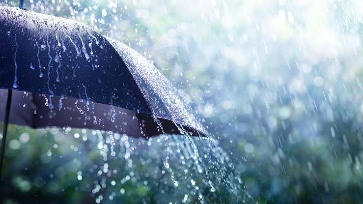 मनसुन थप सक्रिय : यी प्रदेशमा भारी वर्षाको सम्भावना