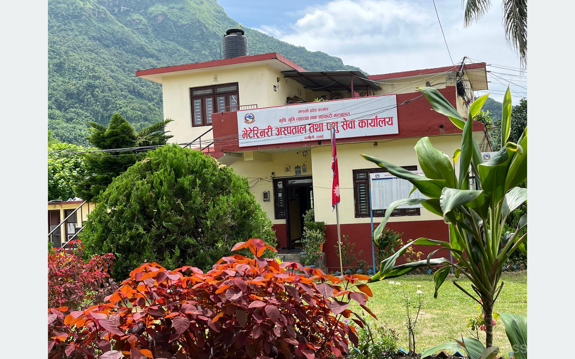 तनहुँमा वृहत्तर पशु विकास प्रवर्द्धन कार्यक्रमबाट ५६५ किसान लाभान्वित