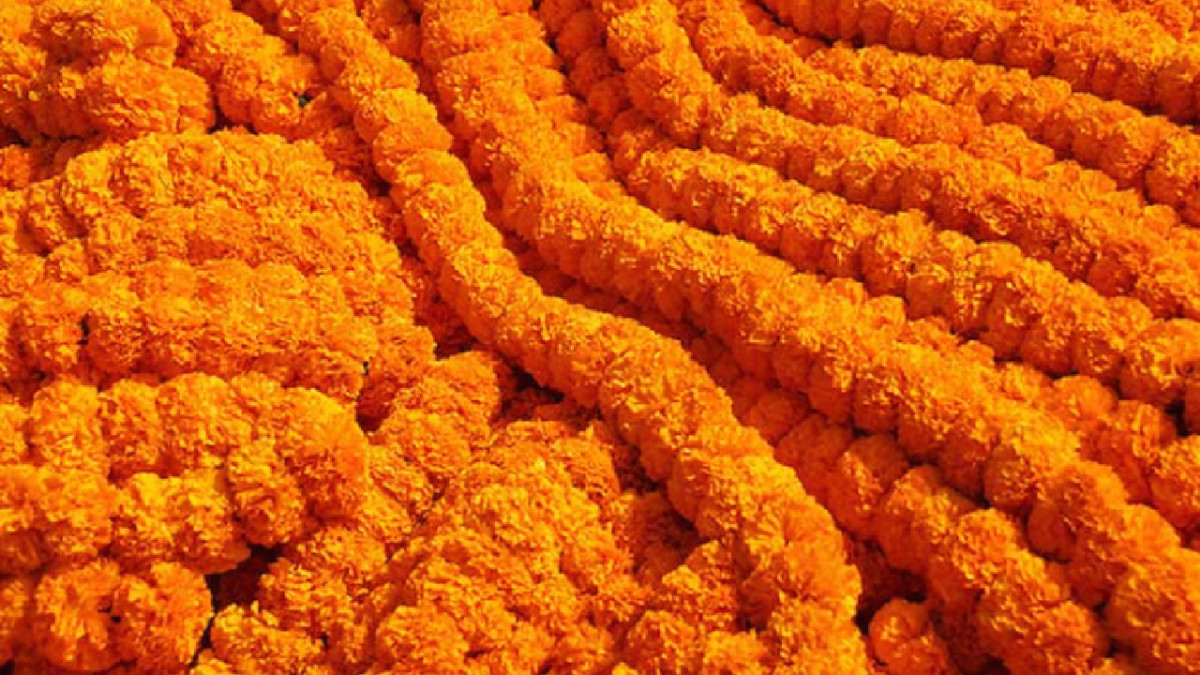 तिहारमा करिब ५२ लाख माला खपत हुने अनुमान