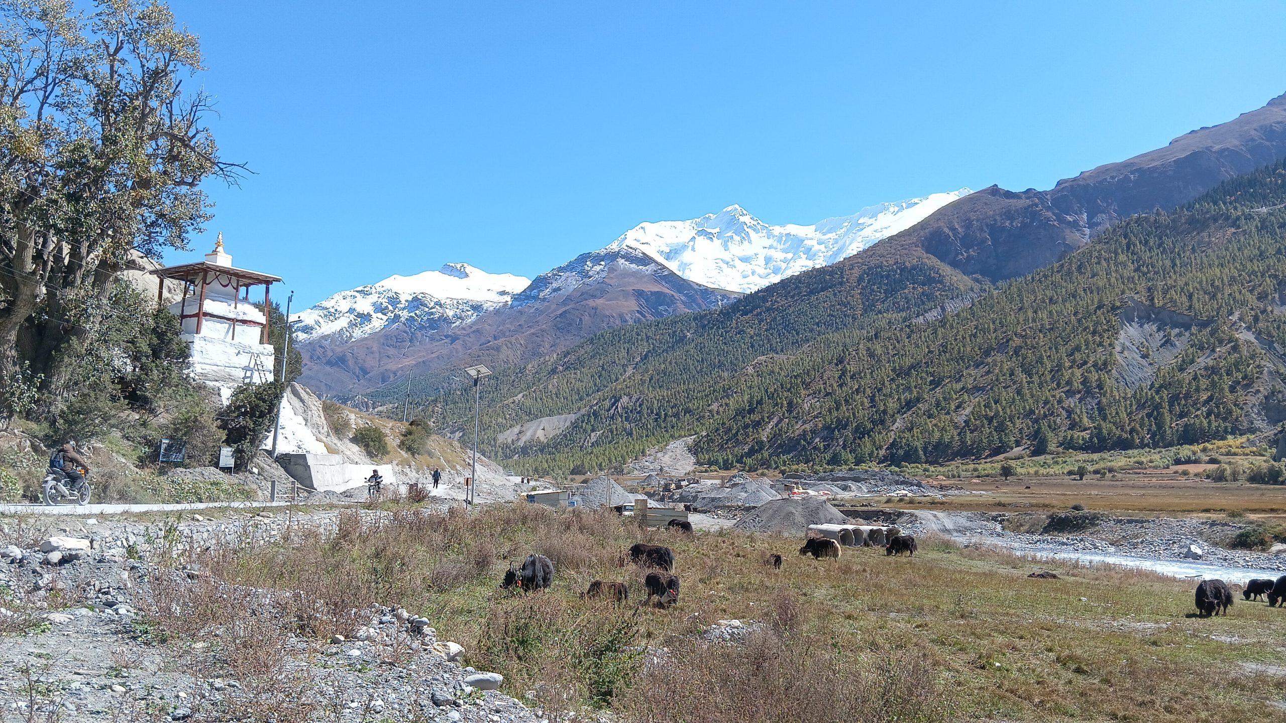 हिमाली क्षेत्रका साझा चुनौती सम्बोधन गर्न नेपाल, भुटान र भारतका याकपालक एकजुट