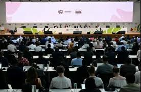 अमेजन जलवायु सम्झौताः विश्व एकताको ‘जीत’, तर जीवाश्म इन्धनबारे निराशाजनक चुक