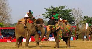 सौराहामा पर्यटन प्रवर्द्धन गर्न हात्ती महोत्सव
