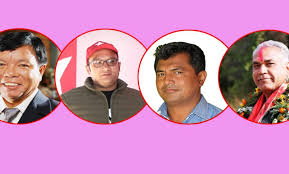 ‘राजनीतिक दलका उम्मेदवारको साङ्गठनिक विरासत र महावीरको व्यक्तित्वबीचको प्रतिस्पर्धा’