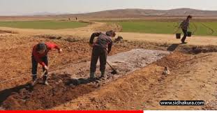 गम्भीर खडेरीले उत्तर कोरियामा खाद्य चिन्ता