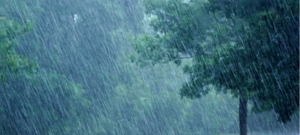 यी प्रदेशमा हल्का वर्षाको सम्भावना