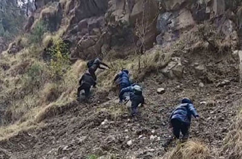 यार्सागुम्बा सङ्कलन गर्न गएका युवाको भिरबाट लडेर मृत्यु