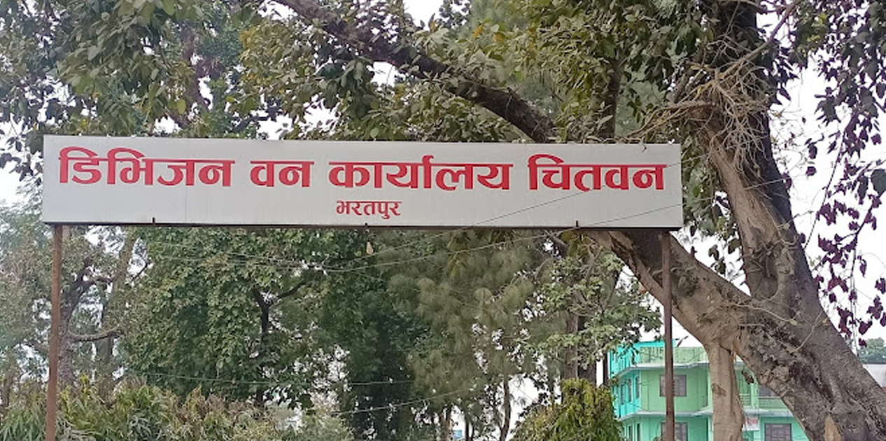 खगेरी खोला जोगाउने अभियानमा डिभिजन वन कार्यालयको सक्रियता