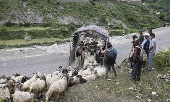 सहरको स्वादका लागि छुट्छ हिमालको दसैँ–तिहार
