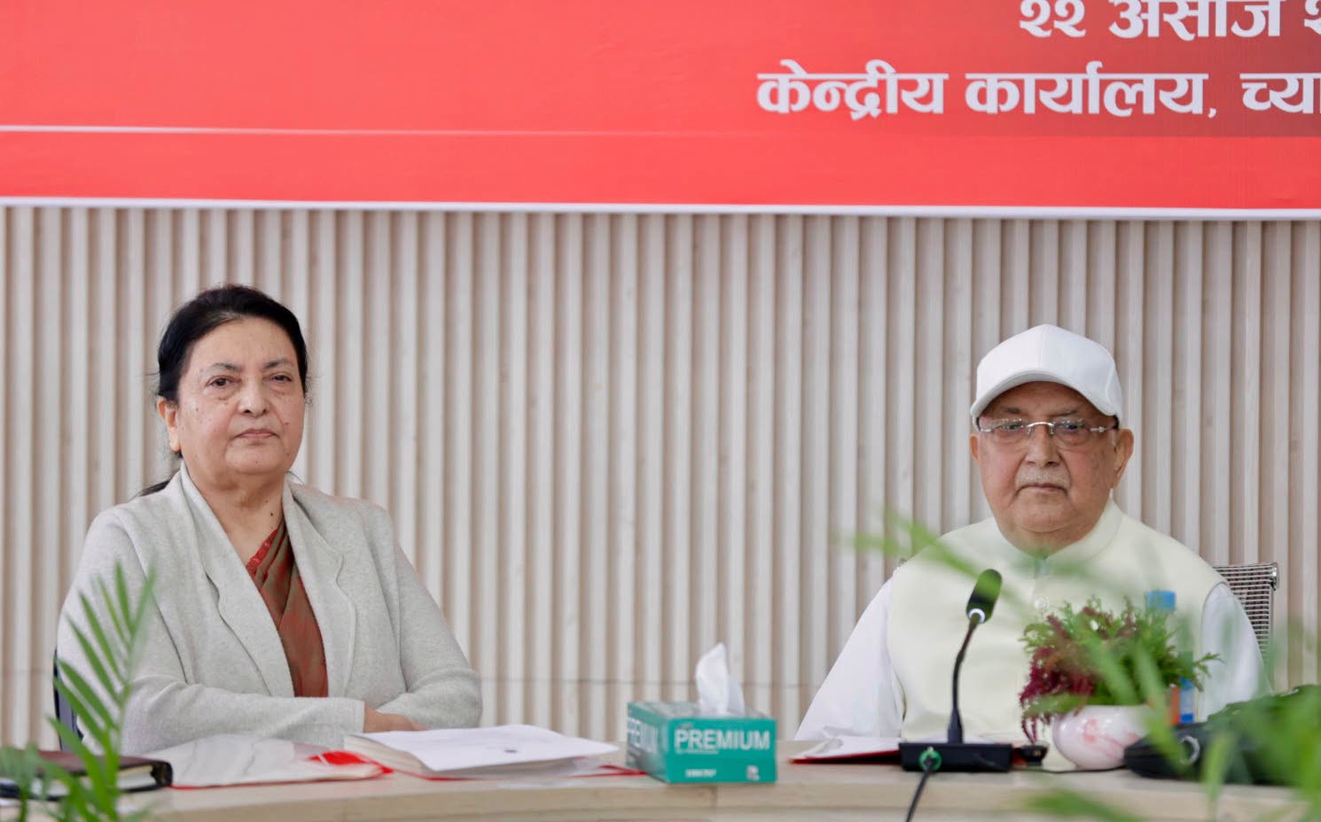 पार्टी सङ्गठन सुदृढीकरण र जनपरिचालन गर्दै एमाले